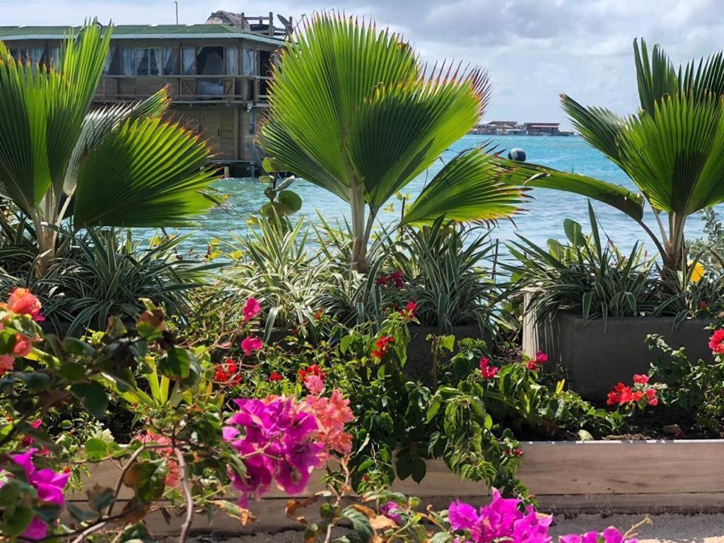 Hotel Isla La Gaviota Tintipan Island Zewnętrze zdjęcie